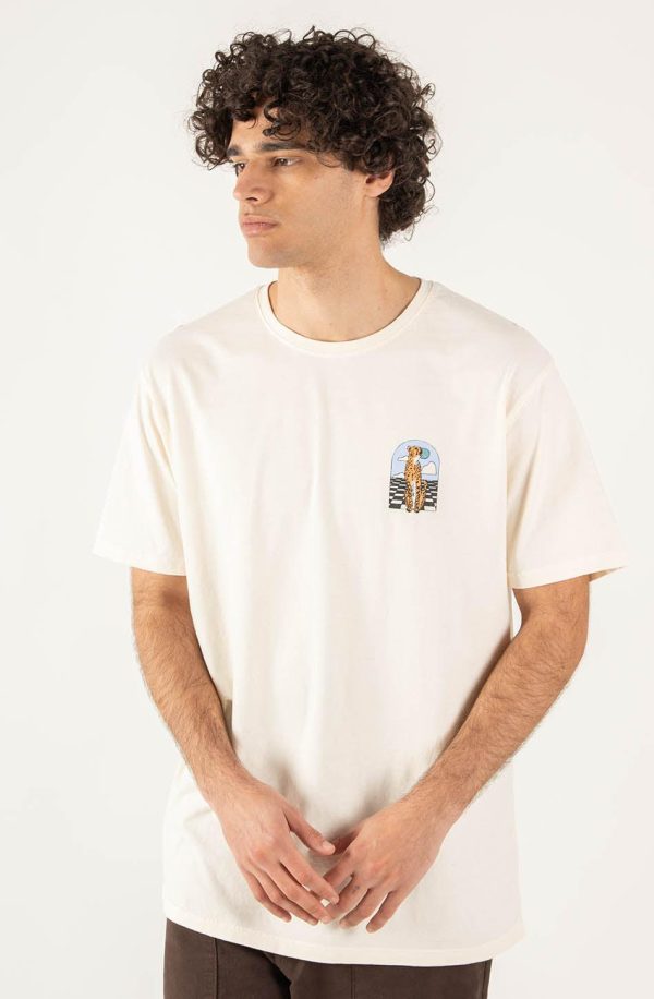 Jermainematthews.shop2e10941764 5